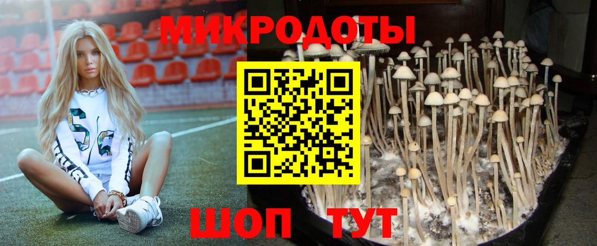 Галлюциногенные грибы мицелий  Вход с VPN  магазин продажи   Волжск 